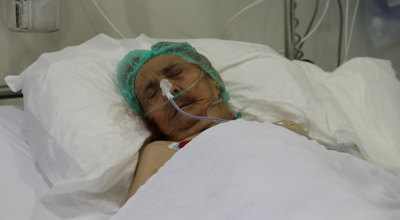 Asırlık çınar virüse karşı yaşam mücadelesini kazandı